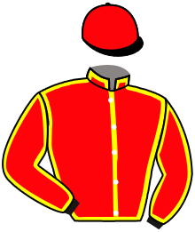 Casaque n°2