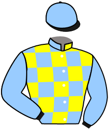 Casaque n°11