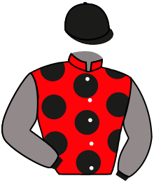 Casaque n°6