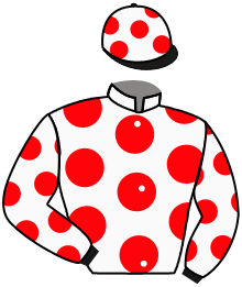 Casaque n°12