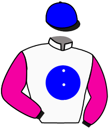 Casaque n°2
