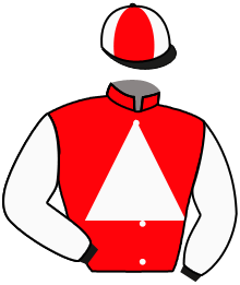 Casaque n°8