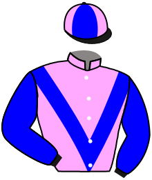 Casaque n°1