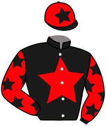 Casaque n°10