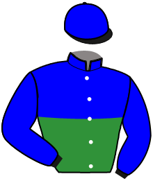 Casaque n°11