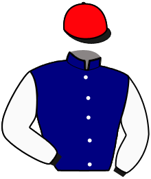 Casaque n°2