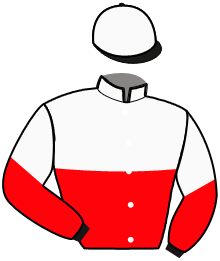 Casaque n°6