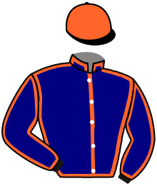 Casaque n°2