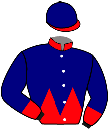 Casaque n°4