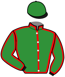 Casaque n°10
