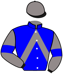 Casaque n°15