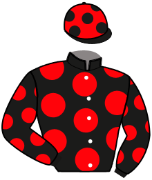 Casaque n°13