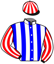 Casaque n°2