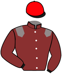 Casaque n°14