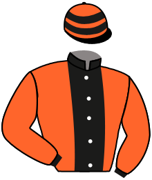 Casaque n°13