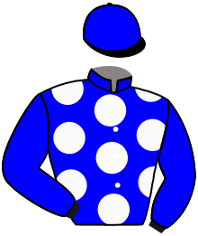 Casaque n°3