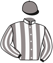 Casaque n°10