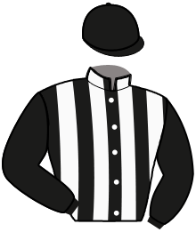 Casaque n°12