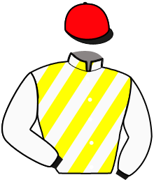 Casaque n°8