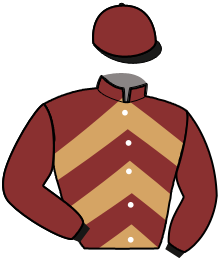 Casaque n°1