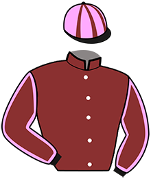 Casaque n°12