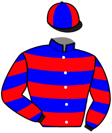 Casaque n°6