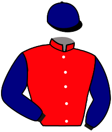 Casaque n°7