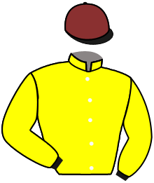 Casaque n°8