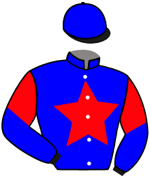 Casaque n°11