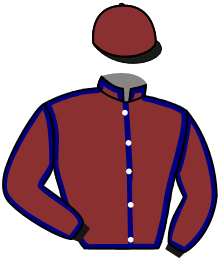 Casaque n°2