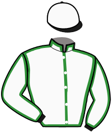 Casaque n°13