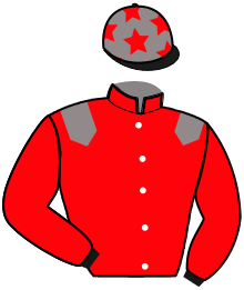 Casaque n°13
