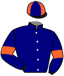 Casaque n°15