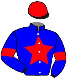 Casaque n°3