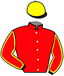 Casaque n°4