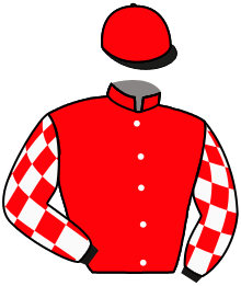Casaque n°3