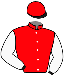 Casaque n°3