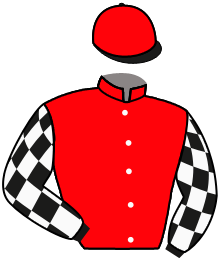 Casaque n°6