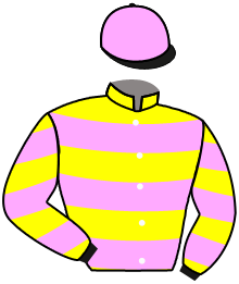 Casaque n°2