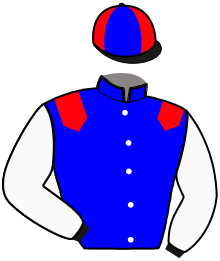 Casaque n°8