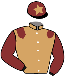 Casaque n°3