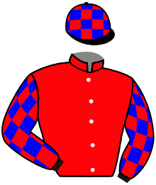 Casaque n°11