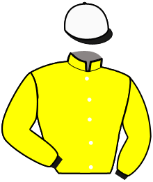 Casaque n°11