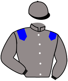 Casaque n°3