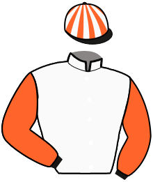 Casaque n°11