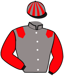 Casaque n°3