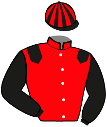Casaque n°5