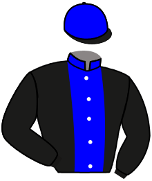 Casaque n°2