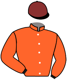 Casaque n°2