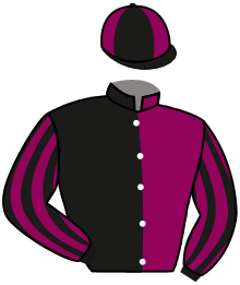 Casaque n°2